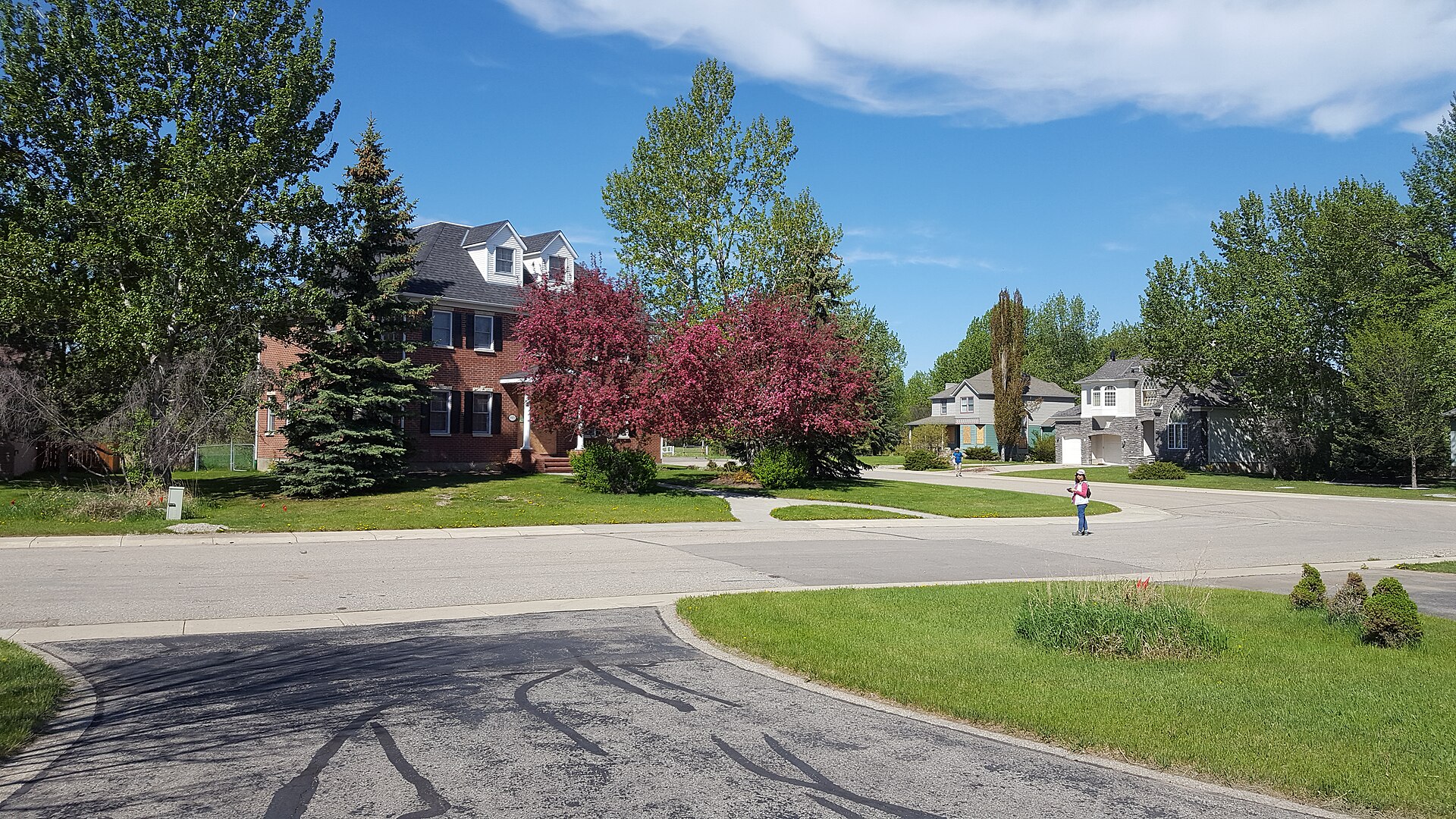 Tree-lined residential lane in High River